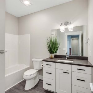 Grand Rapids Mi Bathroom Remodel B14